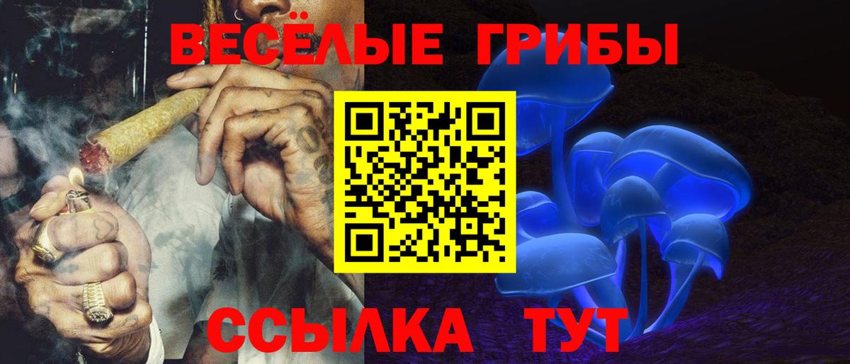 где найти   Галлюциногенные грибы Psilocybe  Вход с VPN  Каспийск 