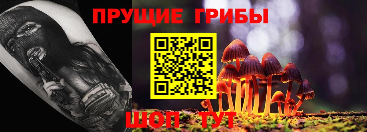 Галлюциногенные грибы прущие грибы Каспийск